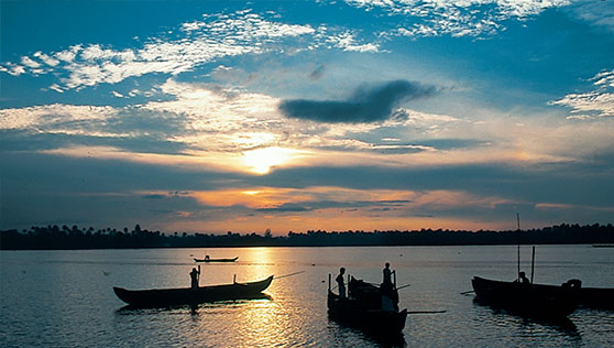 Fishermen at sunset on the Vembanad Lake